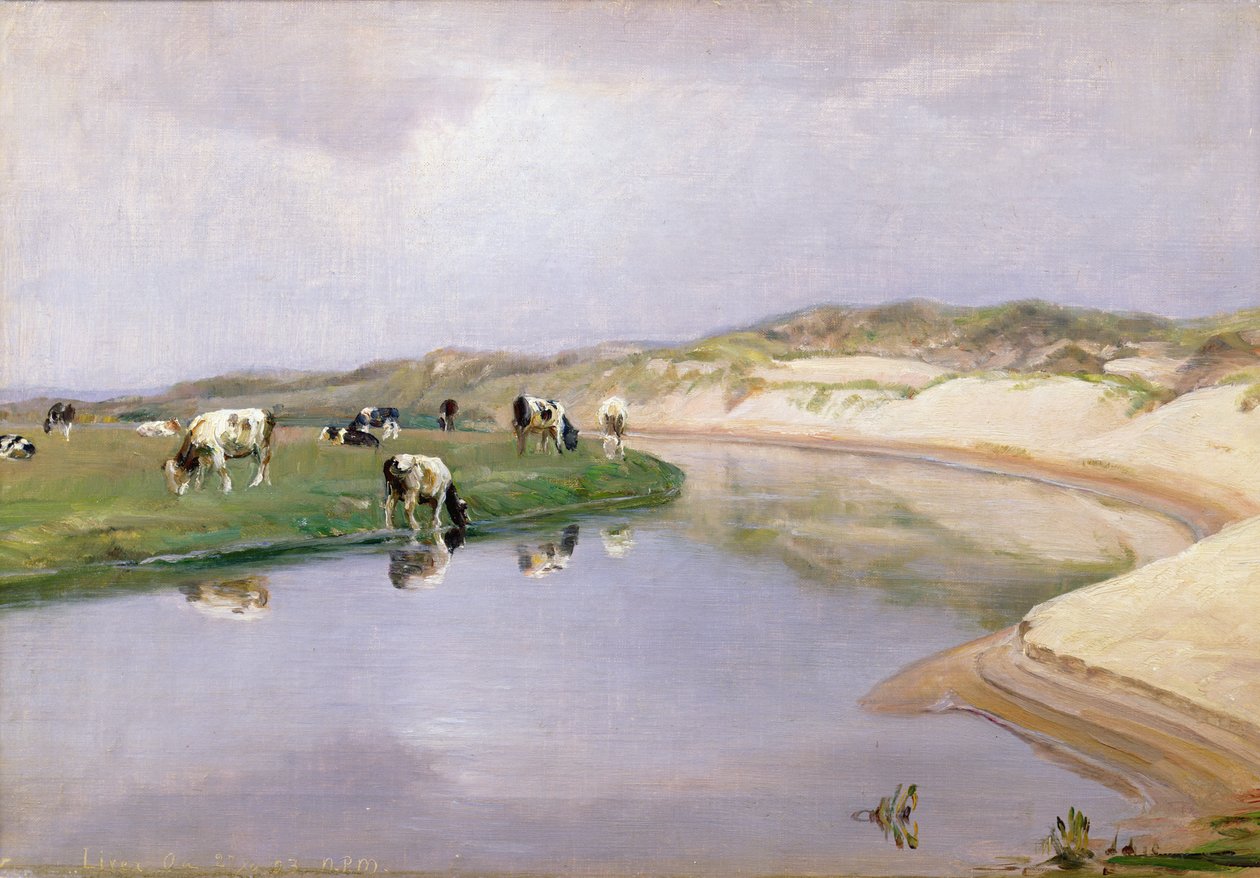 Cows Grazing at Liver As, North Jutland by Niels Pedersen Mols