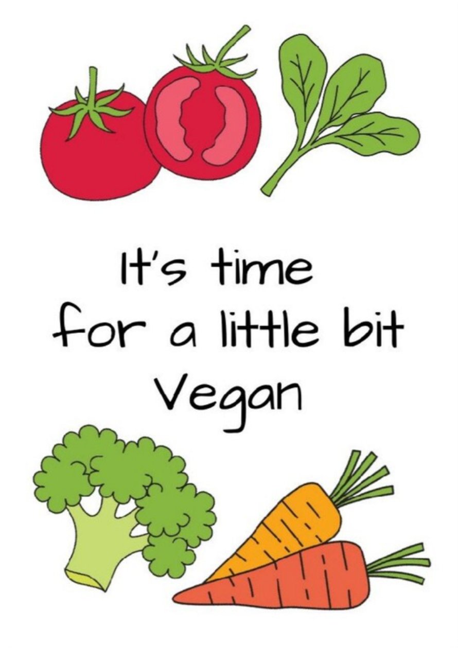 Vegan by Nomi Morina