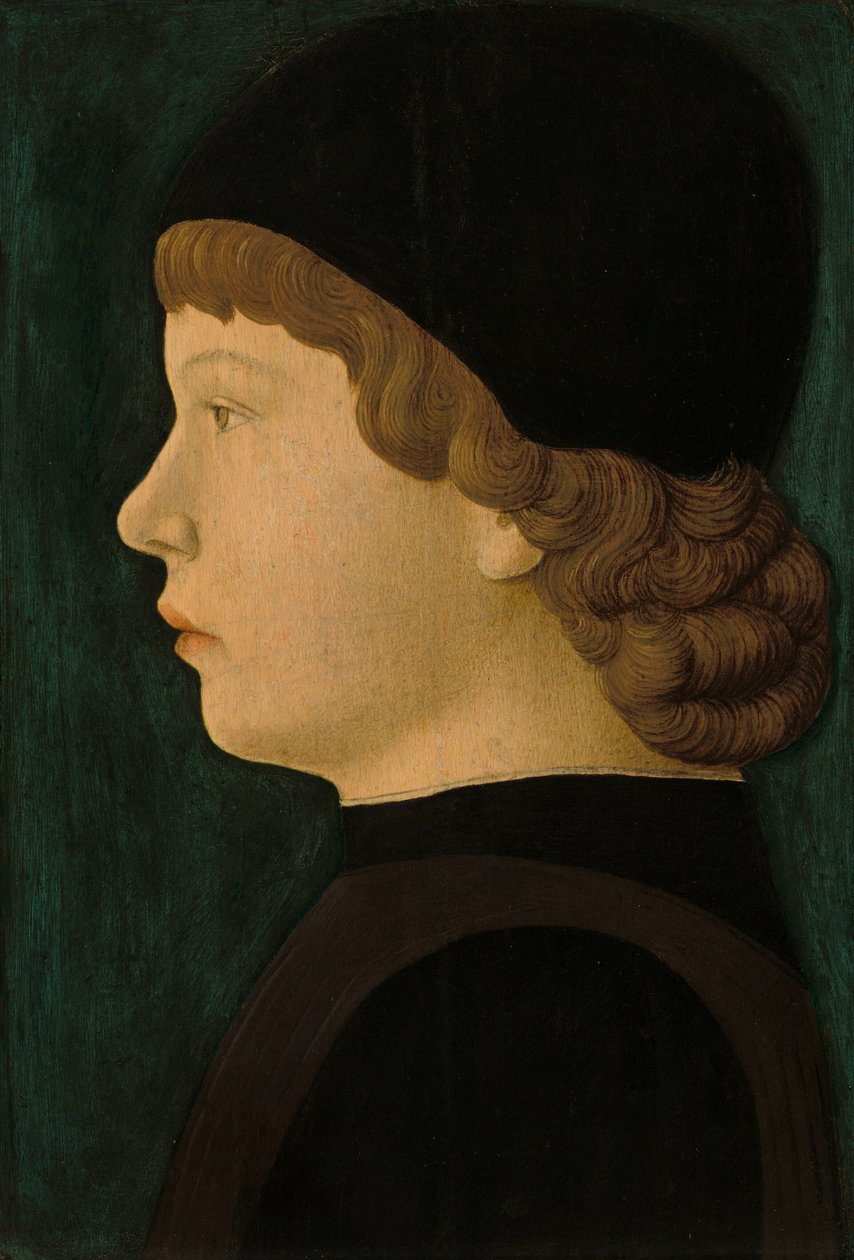 Profile Portrait of a Boy by North Italian 15th Century