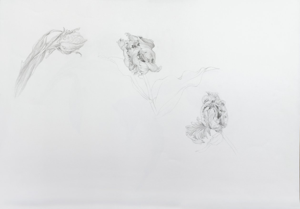 Estella rijnveld 1 by Odile Kidd