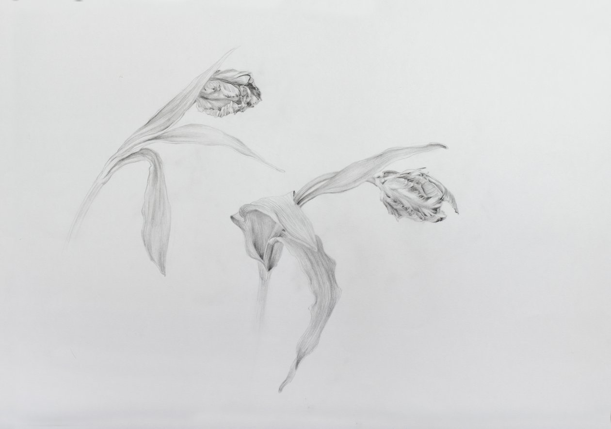 Estella Rijnveld 2, 2017 by Odile Kidd