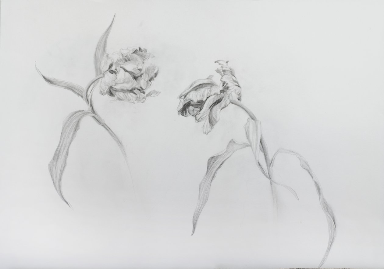 Estella rijnveld 3 by Odile Kidd