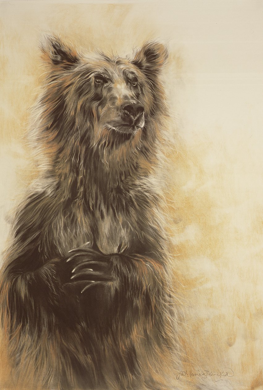 Grizzly Bear 1 by Odile Kidd
