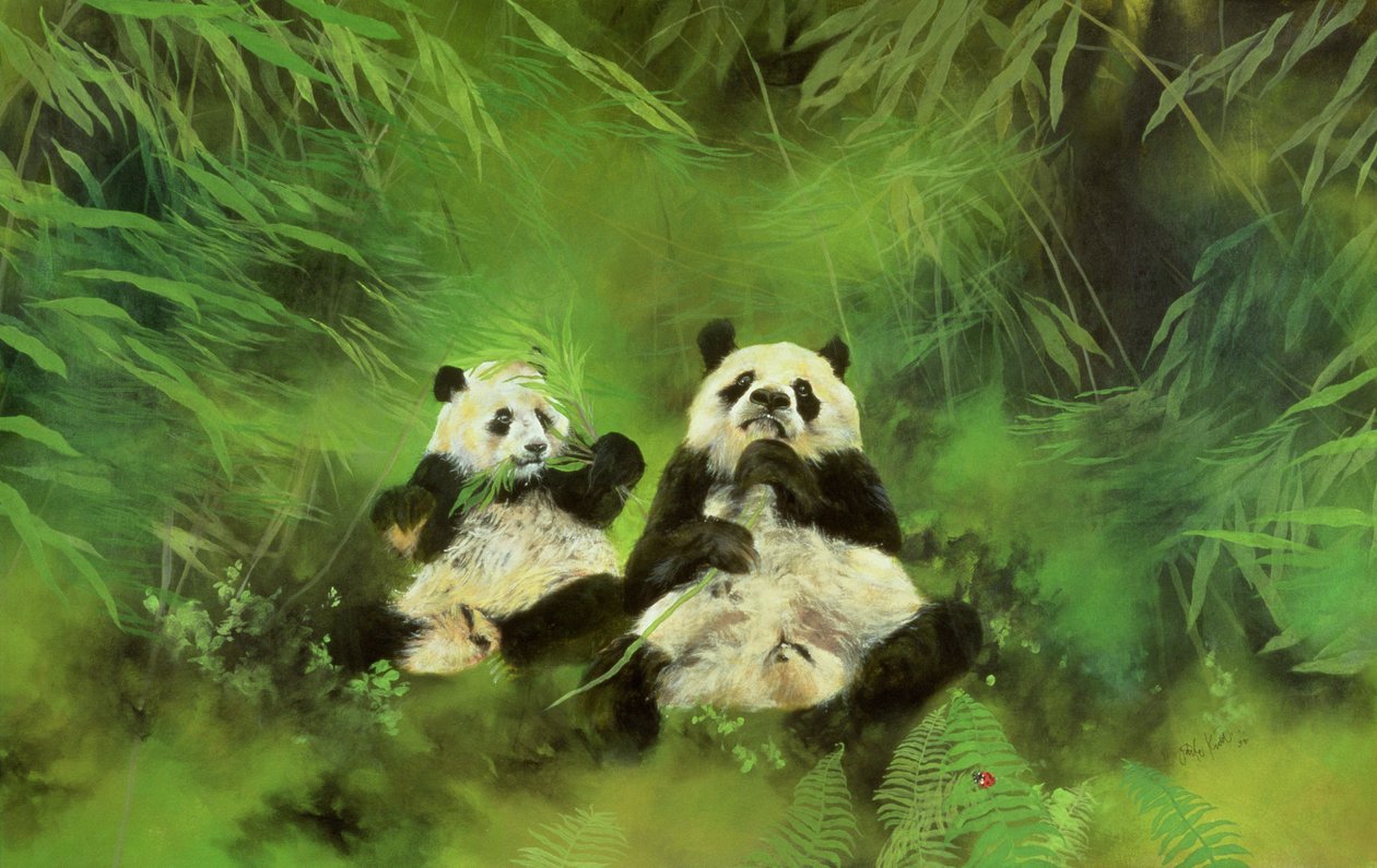 Pandas by Odile Kidd