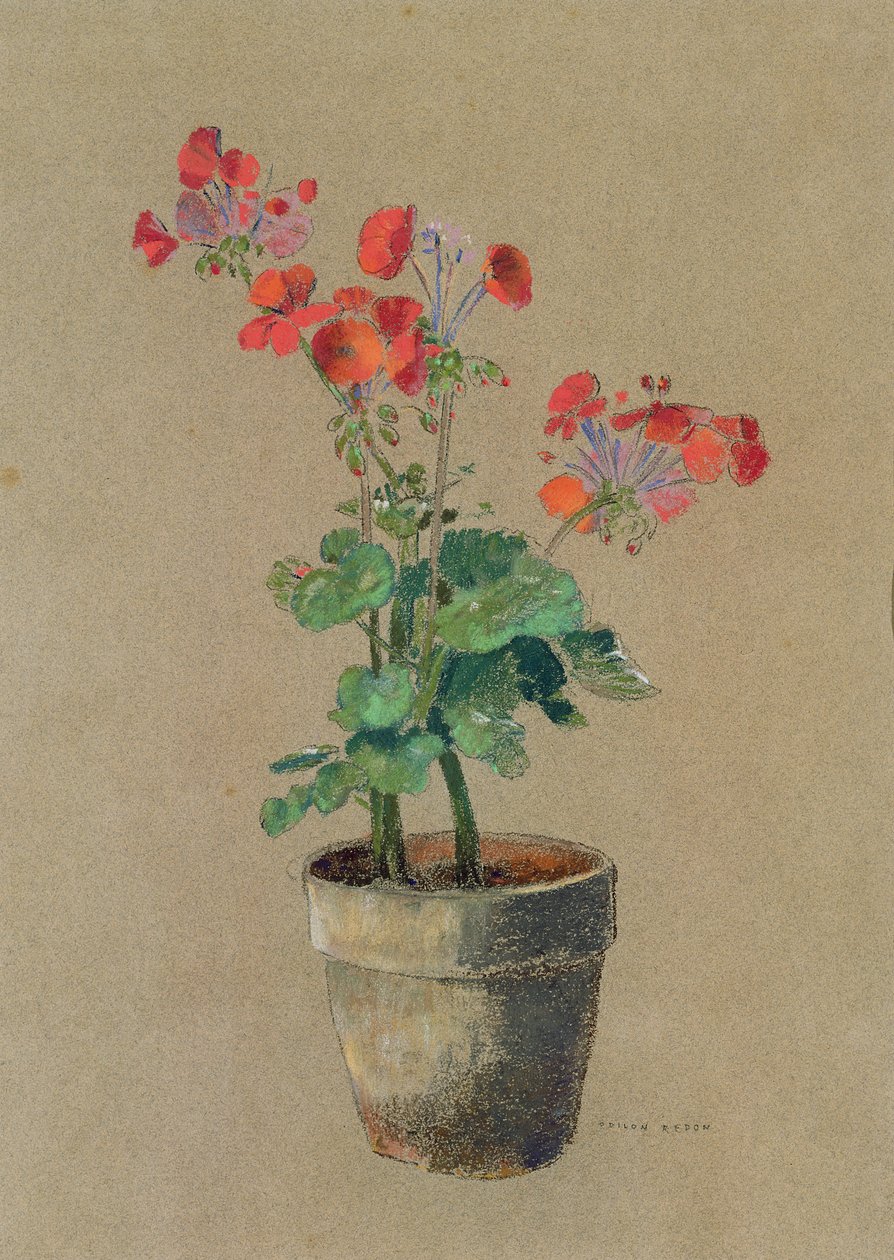 Geraniums in a Pot by Odilon Redon