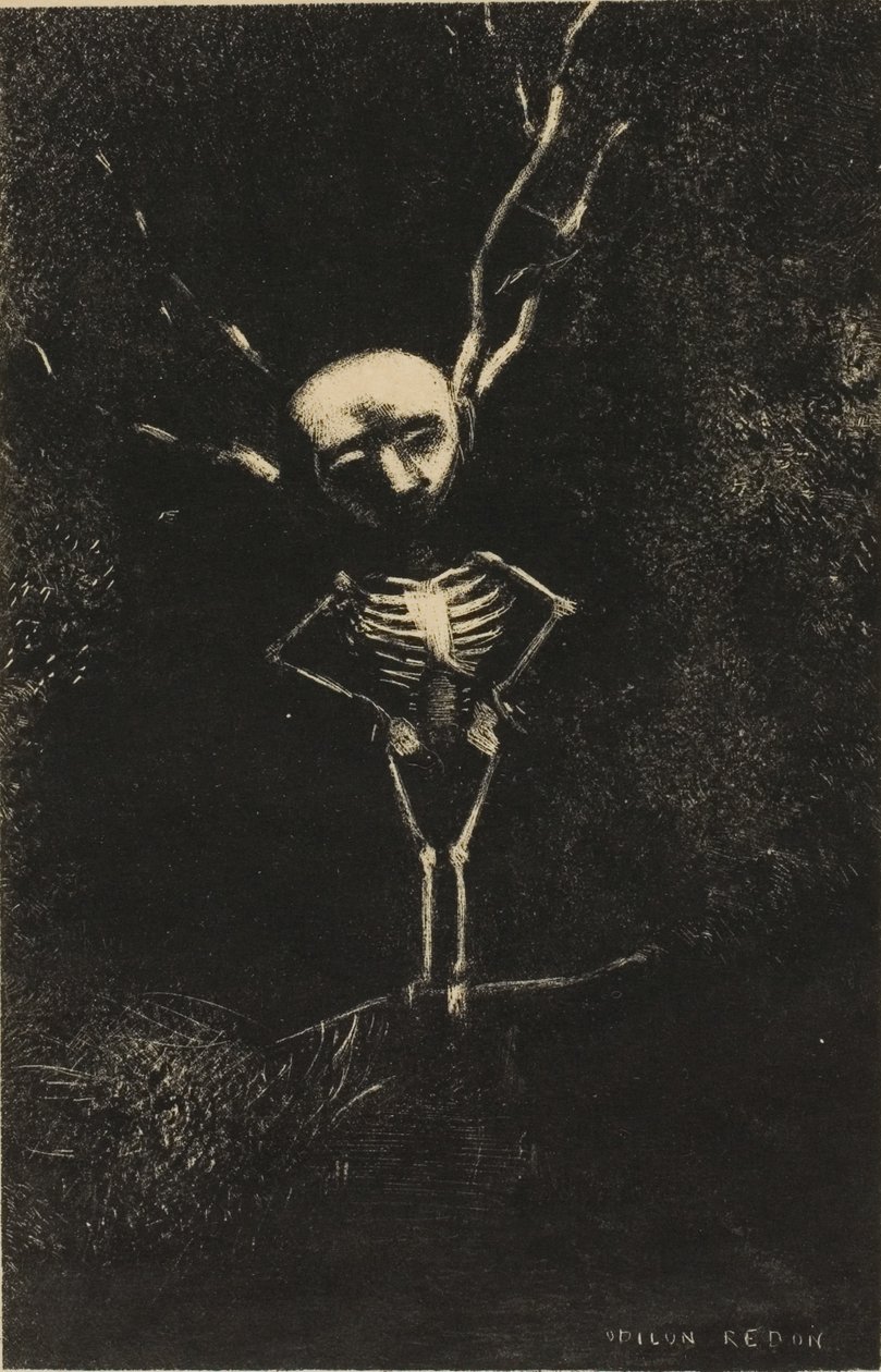 In the Maze of Branches, the Pale Figure Appeared, plate 2 of 7 by Odilon Redon