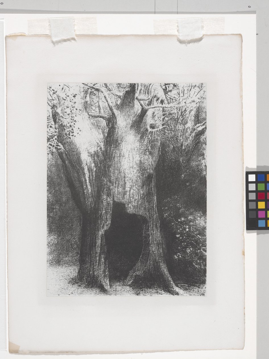 I Have Sunk Into Solitude by Odilon Redon