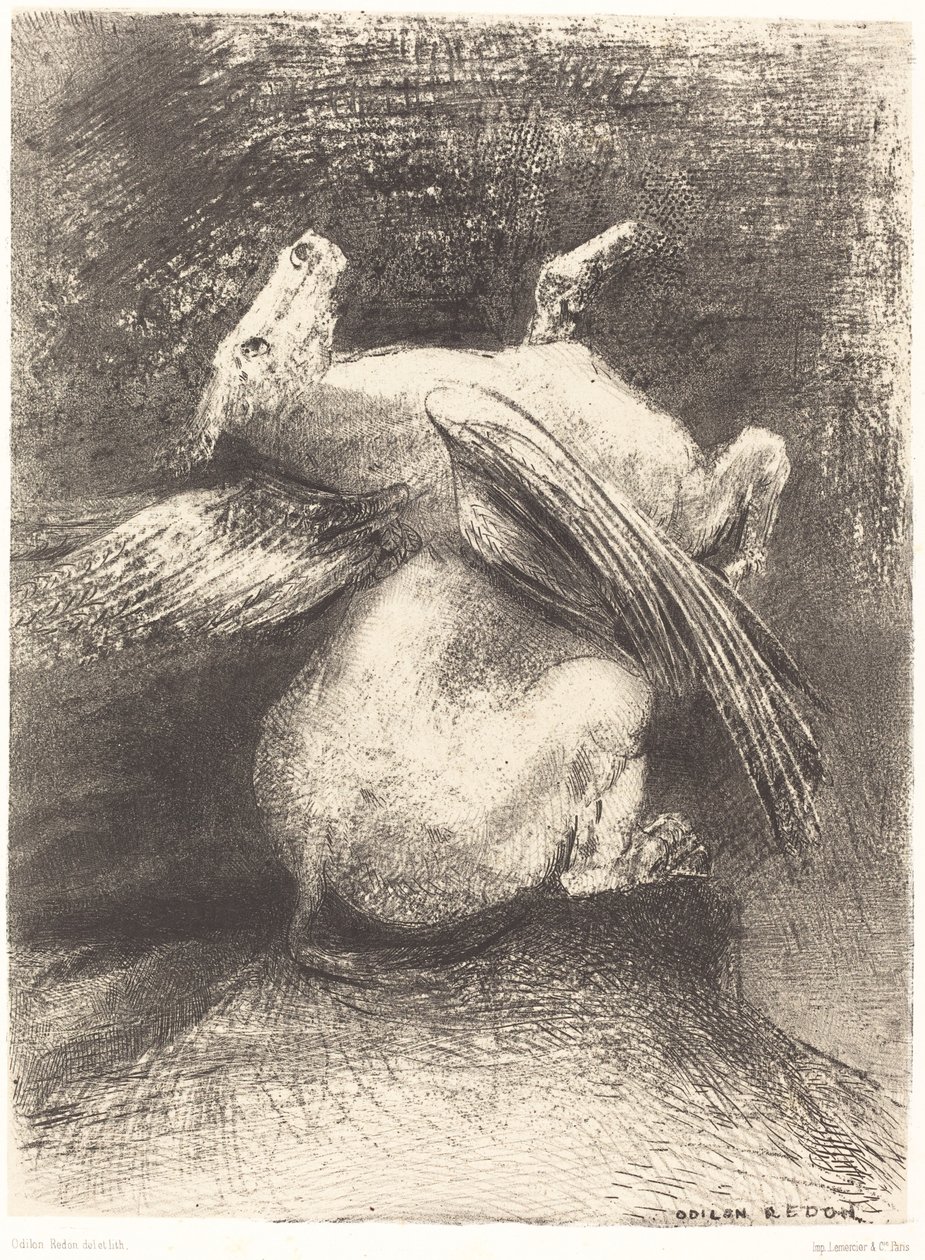 The Impotent Wing Did Not Lift the Animal into That Black Space by Odilon Redon