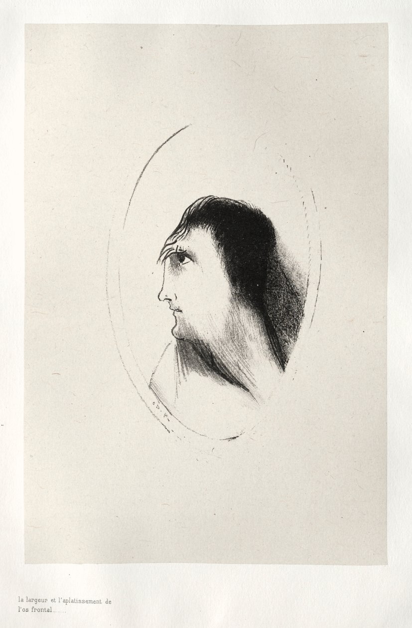 The Haunted House: The Width and Flatness of the Frontal Bone by Odilon Redon