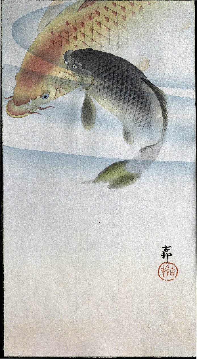 Two Carps in a River by Ohara Koson