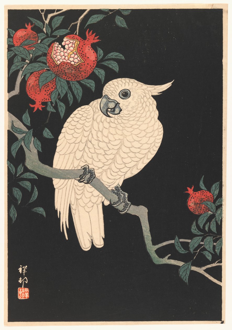 White Parrot and Pomegranate by Ohara Koson