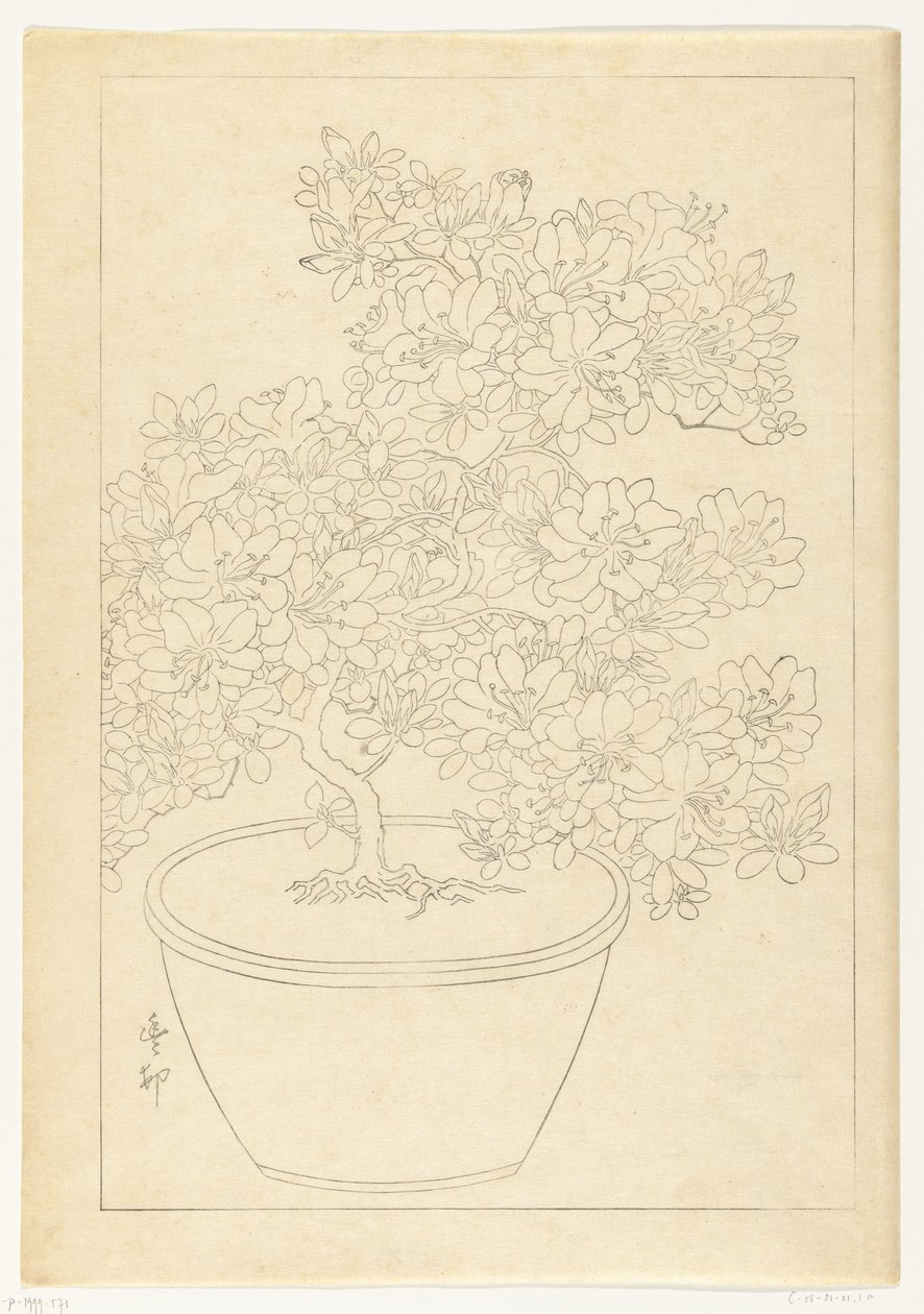Blooming Azalea in Pot by Ohara Koson