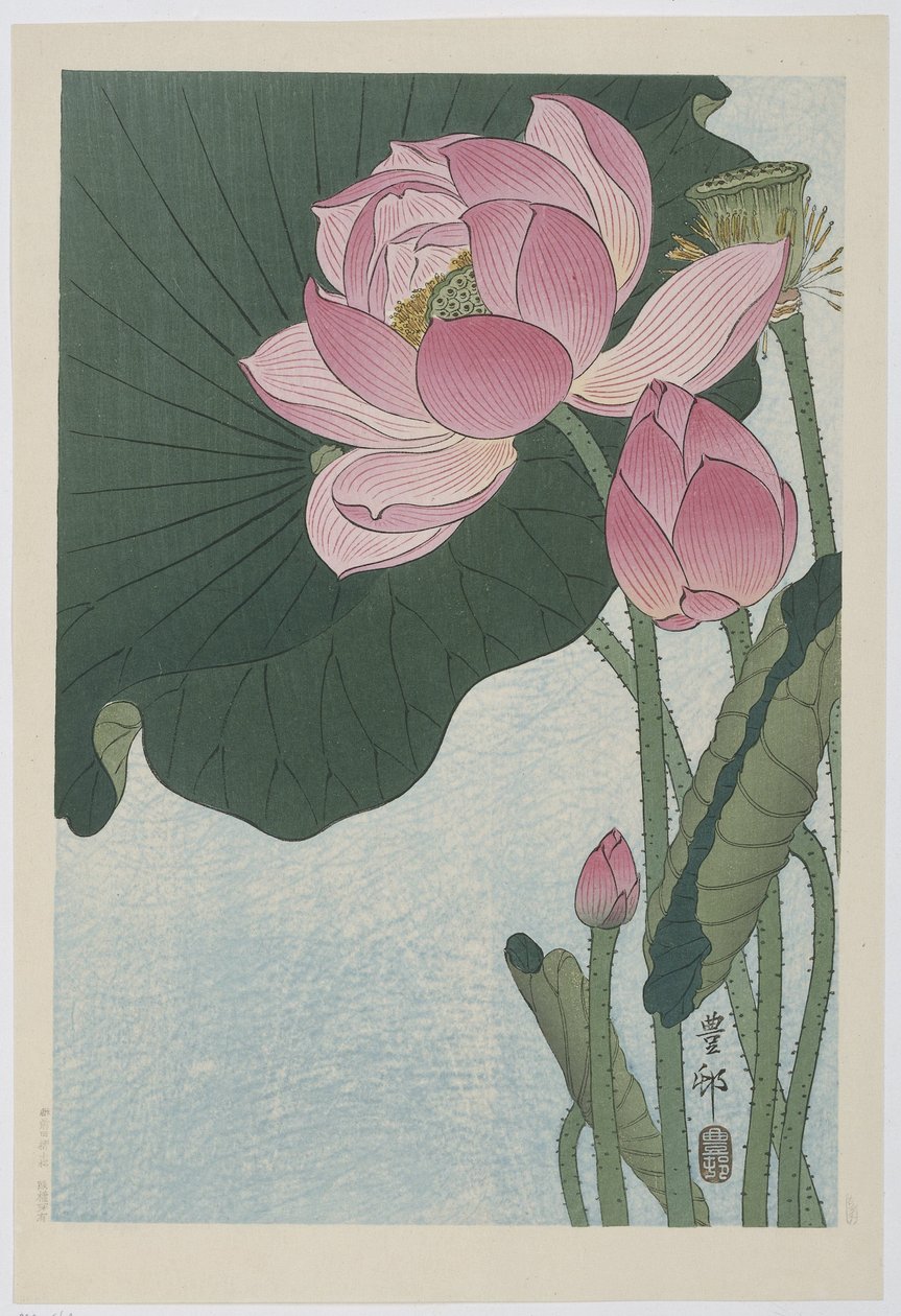 Blooming Lotus Flowers by Ohara Koson