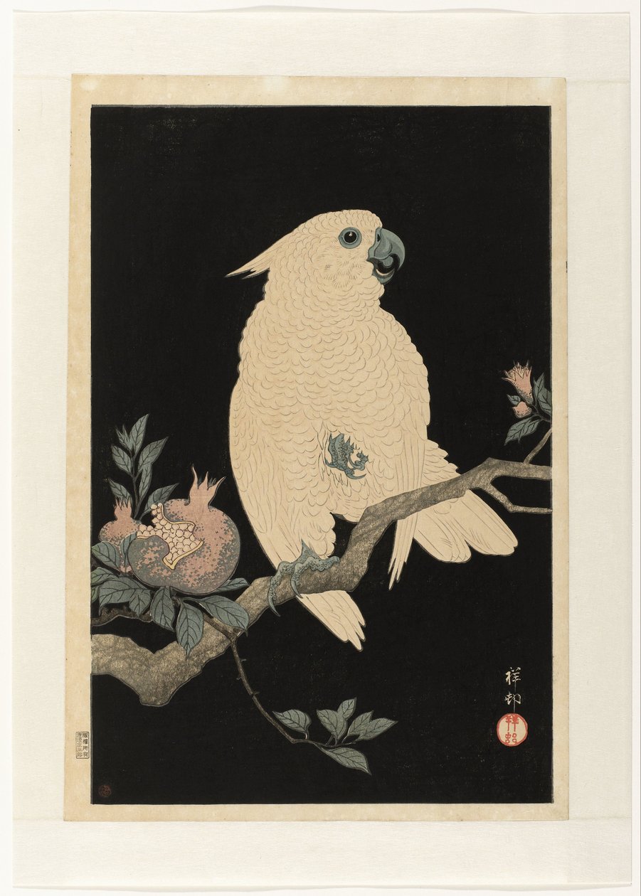 Cockatoo with Pomegranate by Ohara Koson