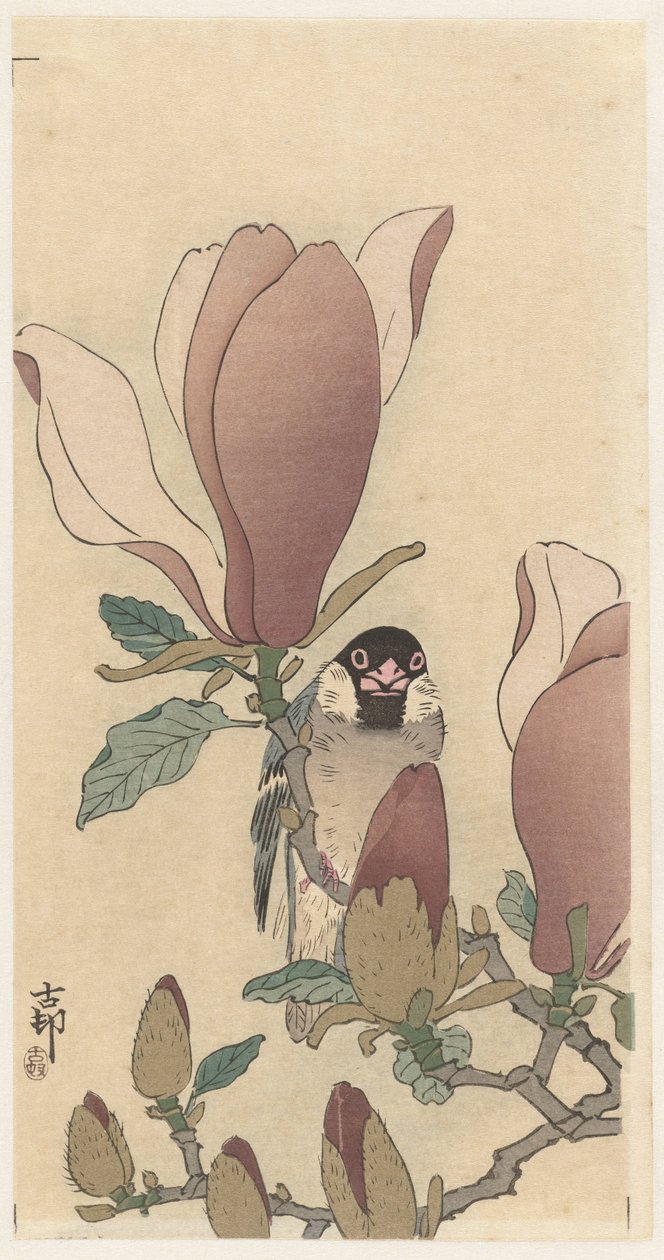 Sparrow on Blooming Magnolia Branch by Ohara Koson