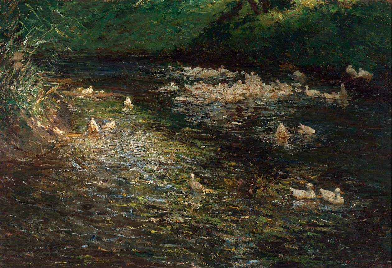 Duck Pond by Olga Wisinger-Florian