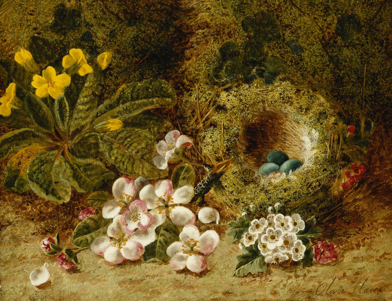 Apple Blossoms, a Primrose and Bird