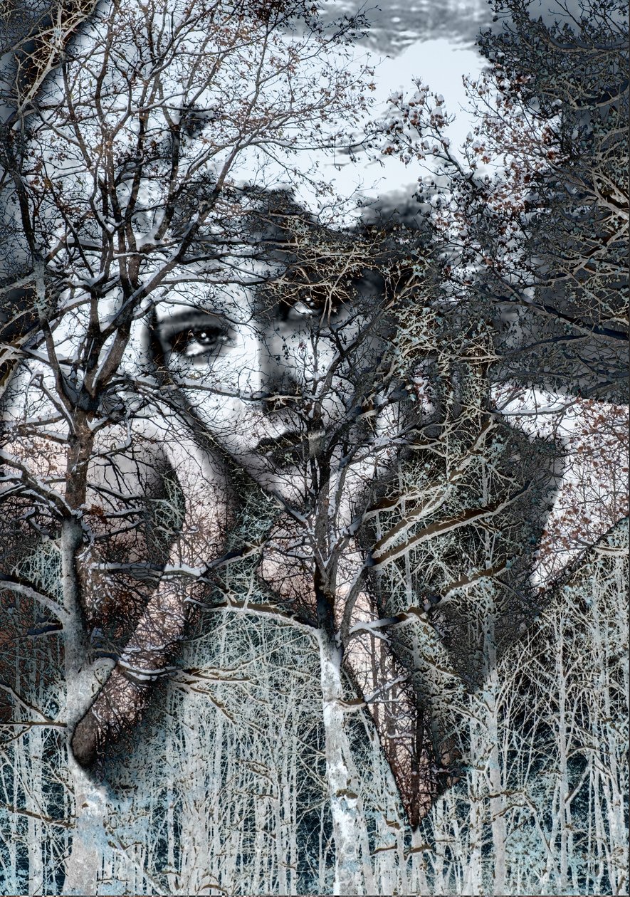 Winter Portrait in Negative by Olivia Gozzano