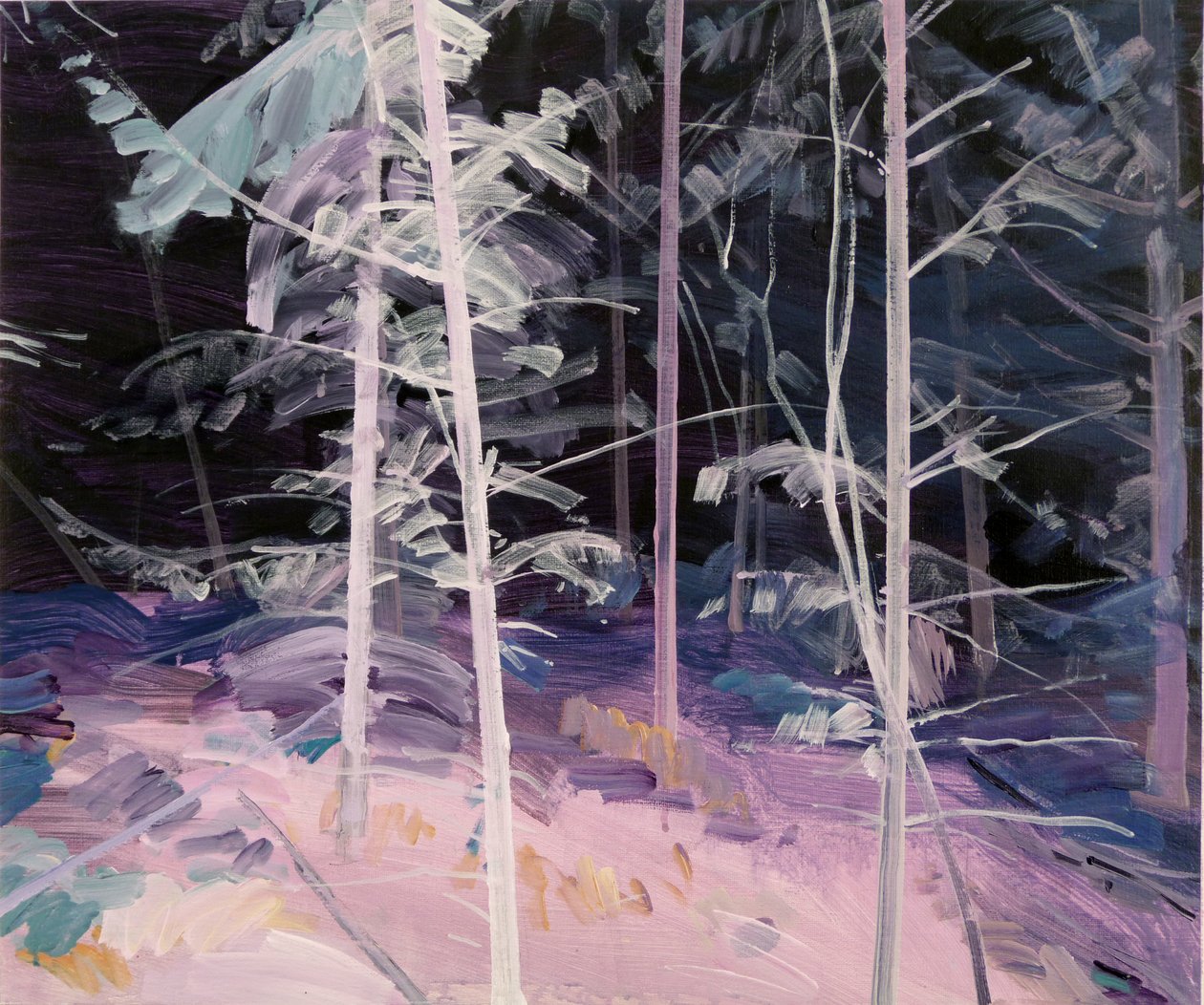 Black Forest 1 by Olivier Morel