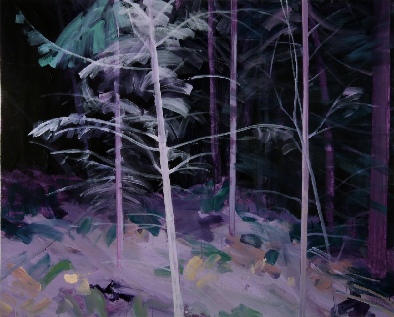 Black Forest 8 by Olivier Morel
