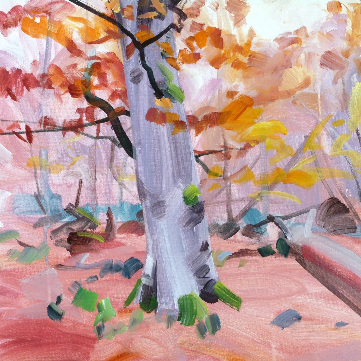 Forest 37 (2018) by Olivier Morel