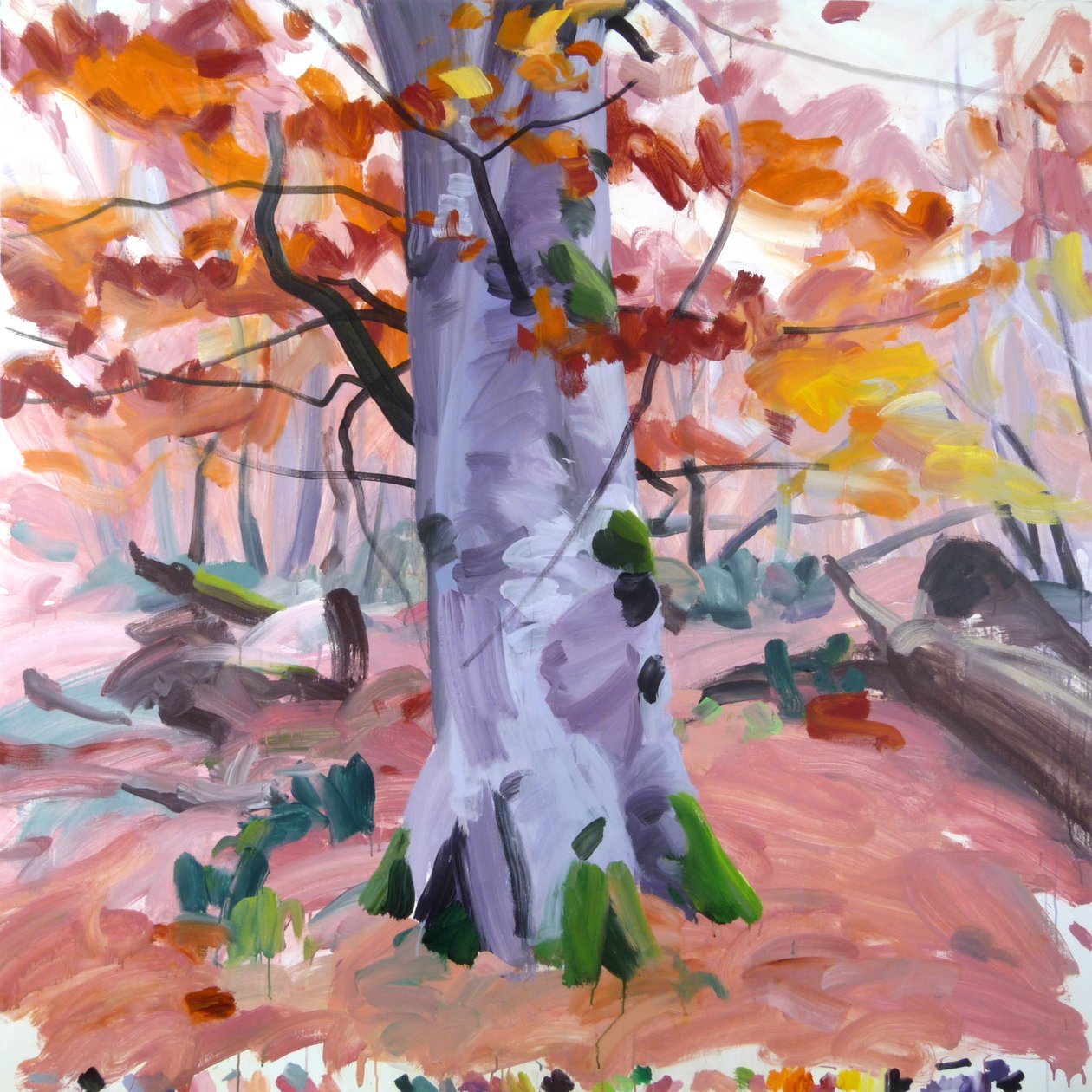Forest 40 (2018) by Olivier Morel