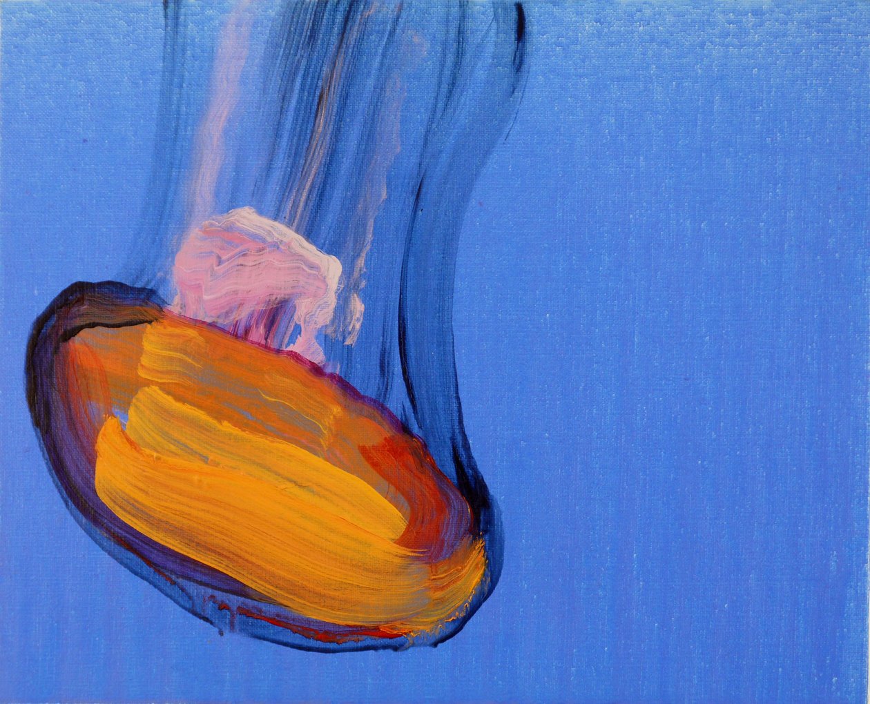 Jellyfish 10, 2013 by Olivier Morel