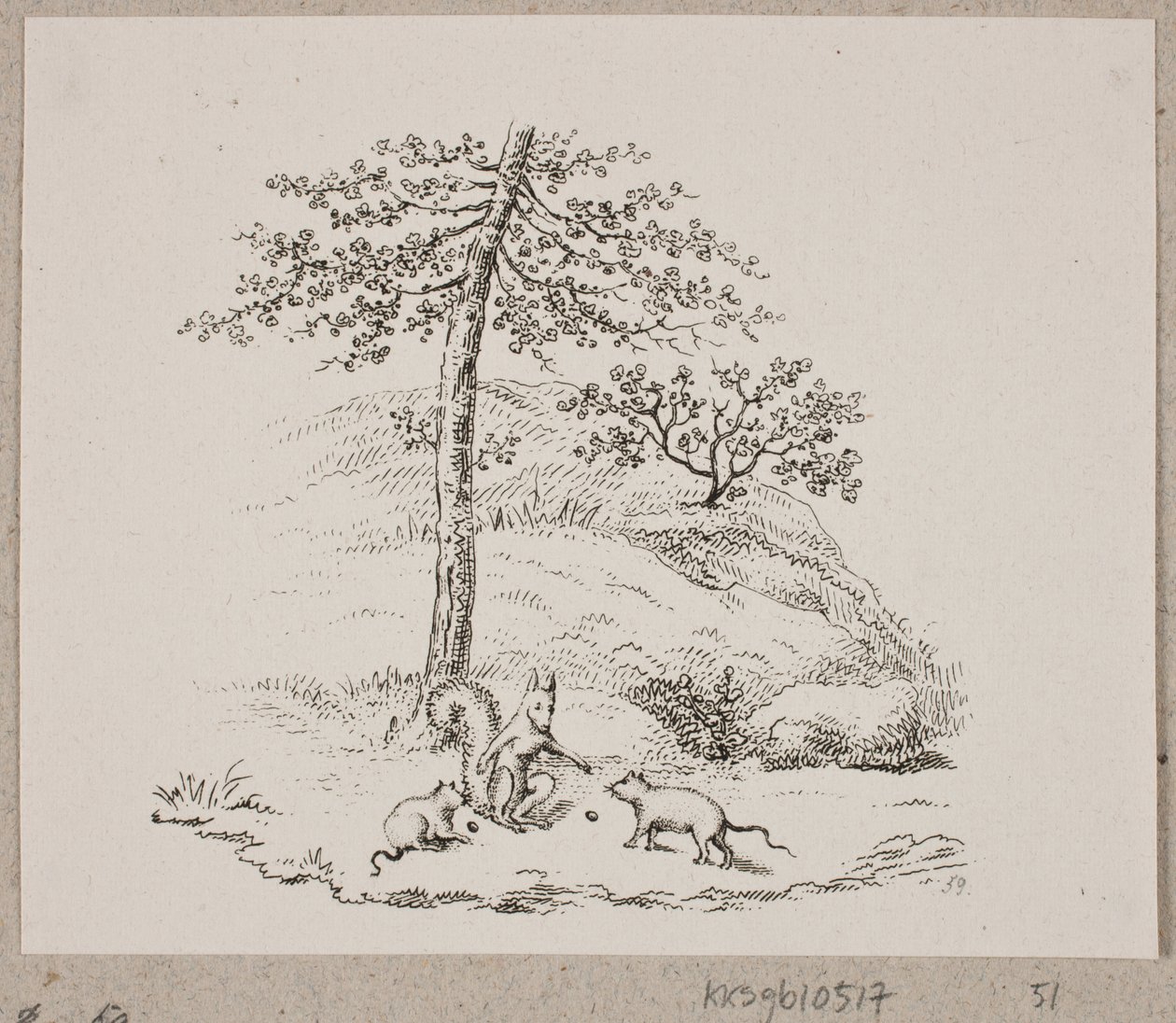 The Rats and the Squirrel by Oluf Olufsen Bagge