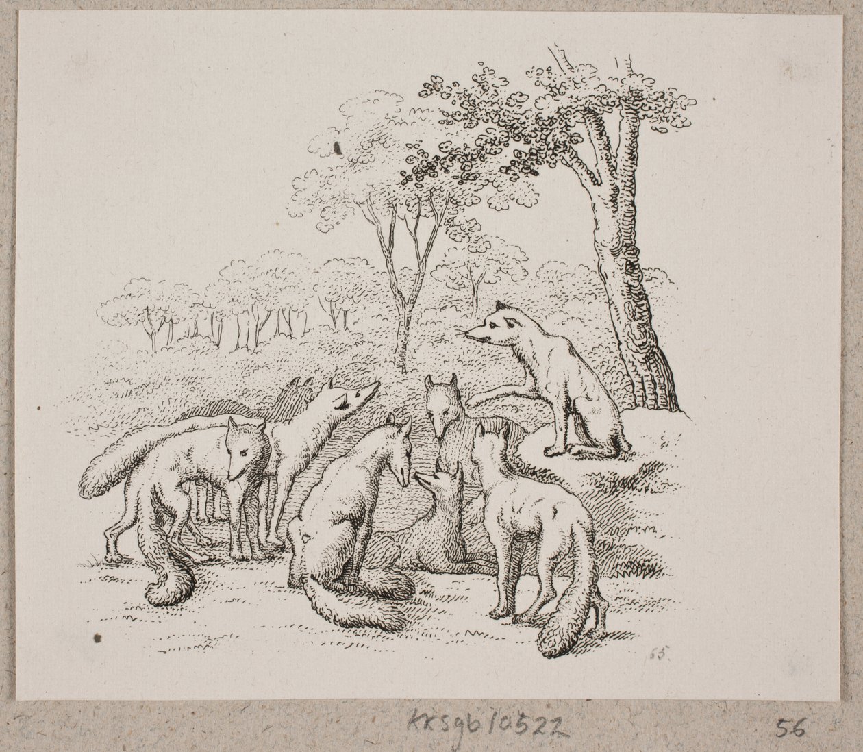 The Foxes Hold a Meeting by Oluf Olufsen Bagge