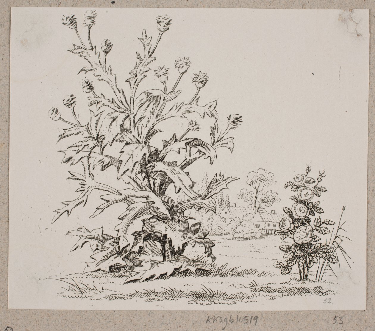 The Thistle and the Rose by Oluf Olufsen Bagge