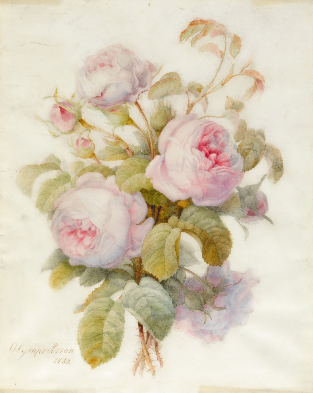 Bunch of Centifolio Roses, 1832 by Olympe Arson