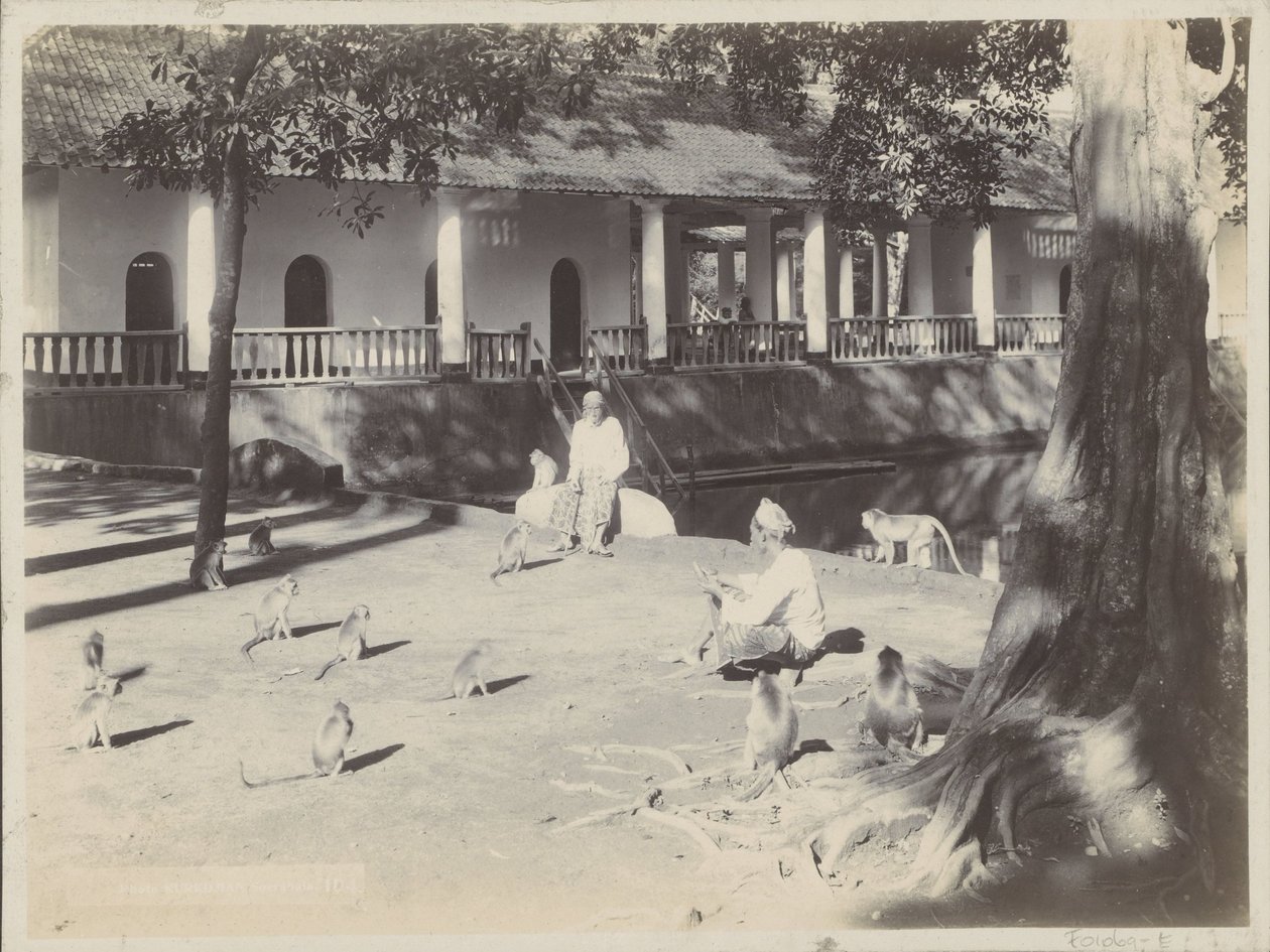 Indian Men with Monkeys on a Yard by Water, Possibly in Surabaya by Onnes Kurkdjian