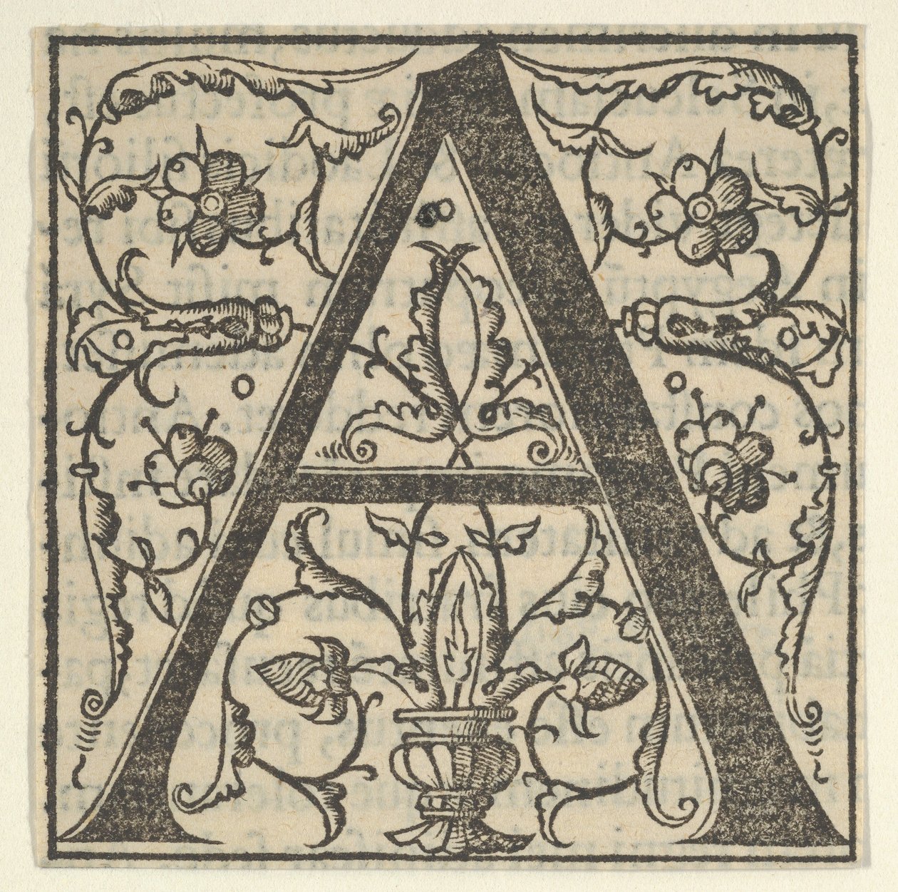 Initial Letter A with Garlands by Oronce Fine