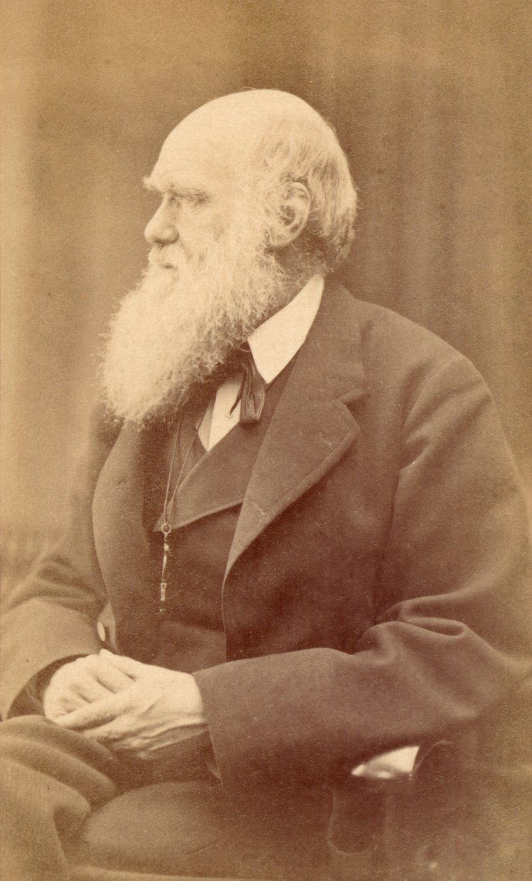 Portrait of Charles Darwin at Age 72, c.1871 by Oscar Gustav Rejlander