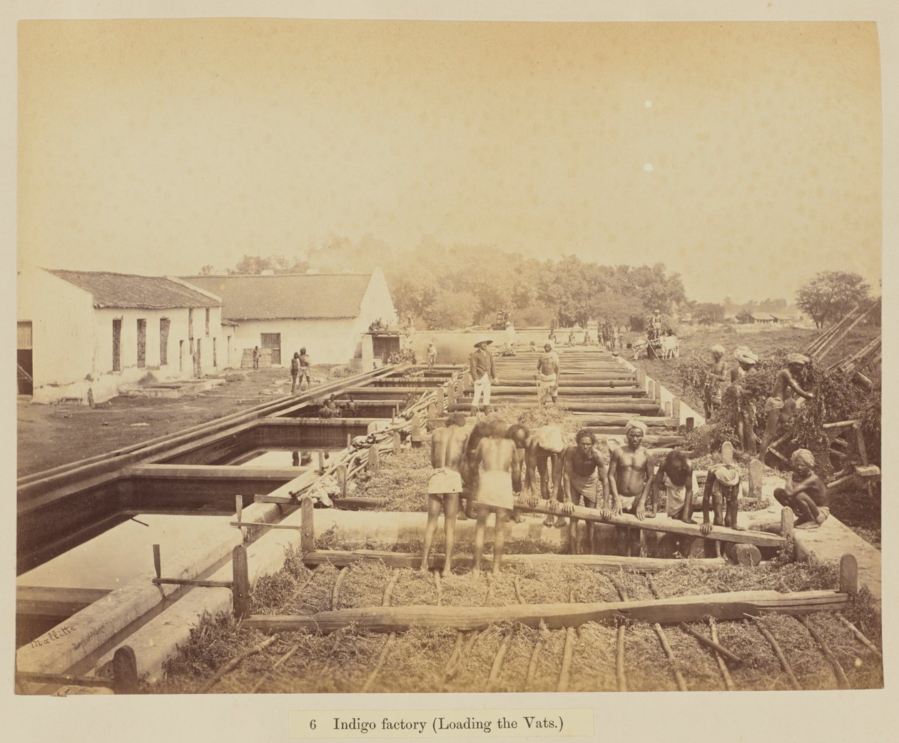 Indigo Factory (Loading the Vats) by Oscar Jean Baptiste Mallitte