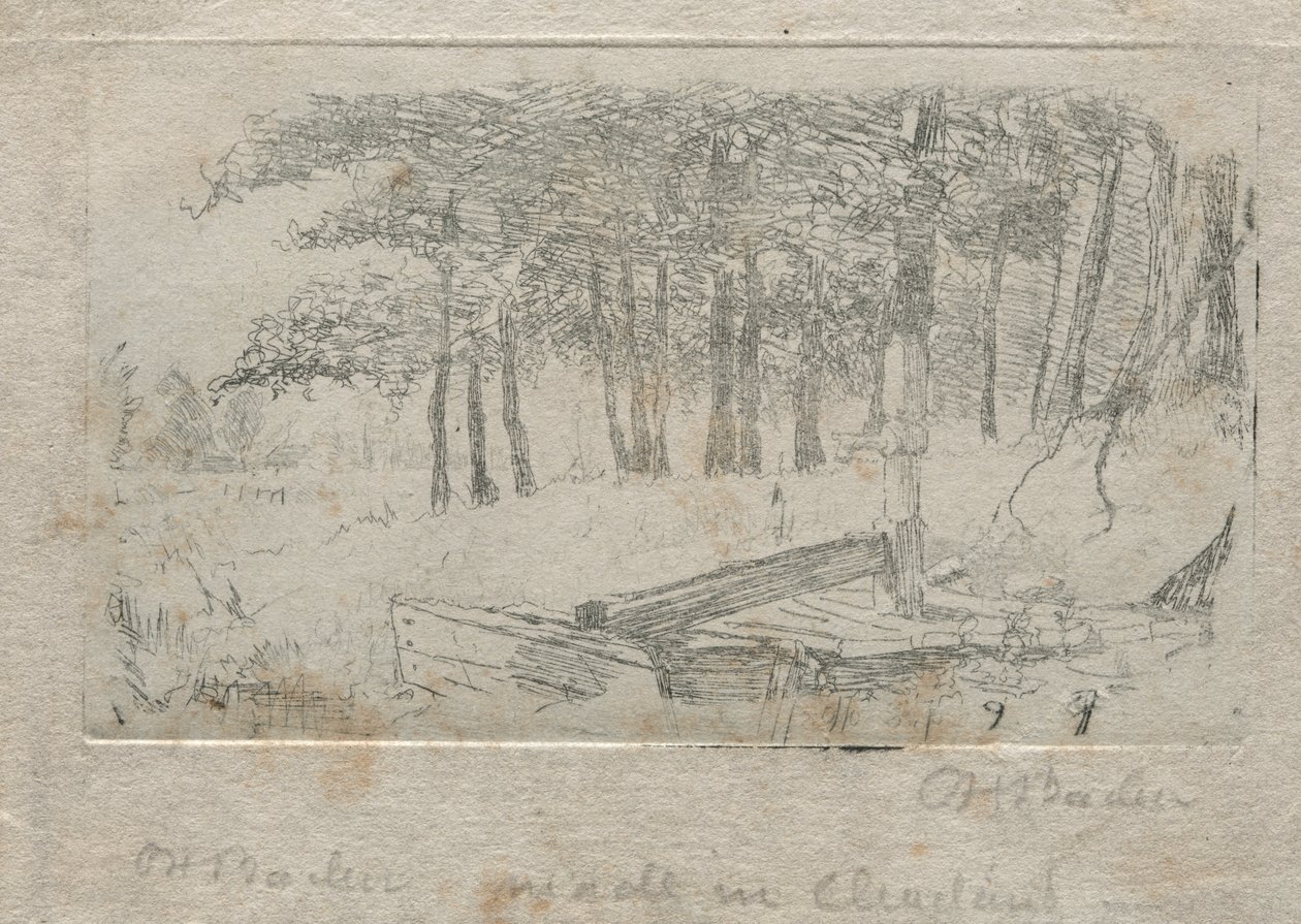 Sketch from Nature by Otto H. Bacher