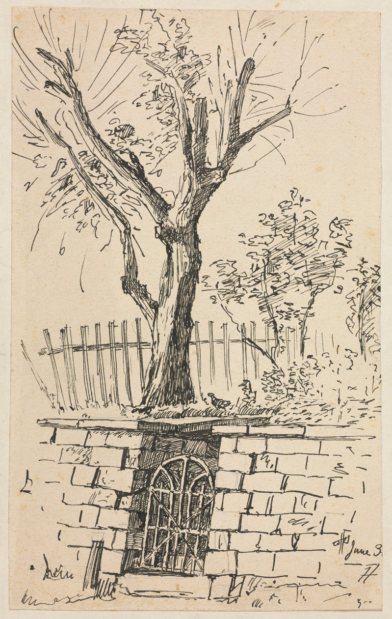 Tree on Top of a Stone Wall, Cleveland by Otto H. Bacher