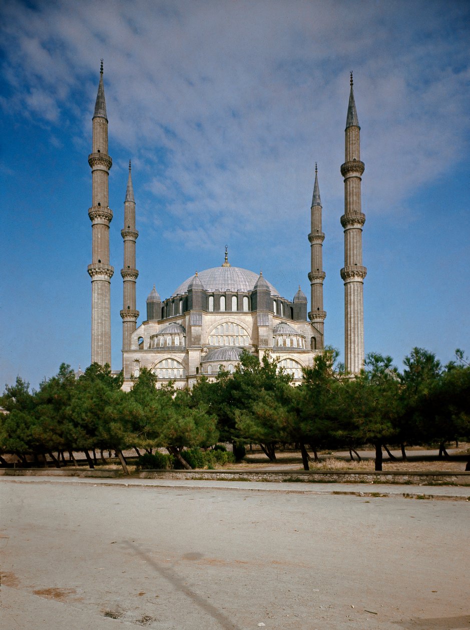 View of the Mosque by Ottoman School