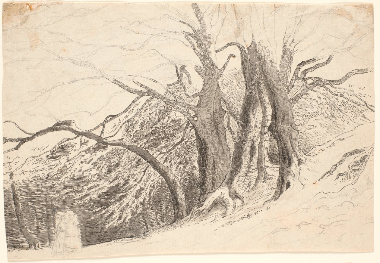 A Slope with Large Trees in a Forest, with Two Walking Ladies by P.C. Skovgaard