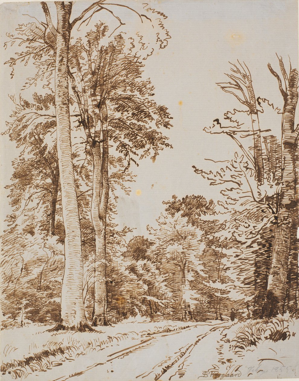 Forest Road. Iselinge by P.C. Skovgaard