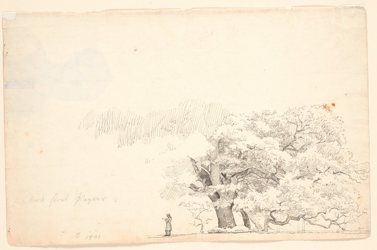 Large Oak Trees, Left a Man Reading by P.C. Skovgaard