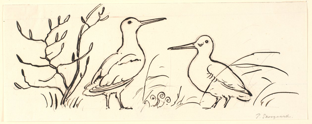 Two Snipes. Decorative Draft. by P.C. Skovgaard