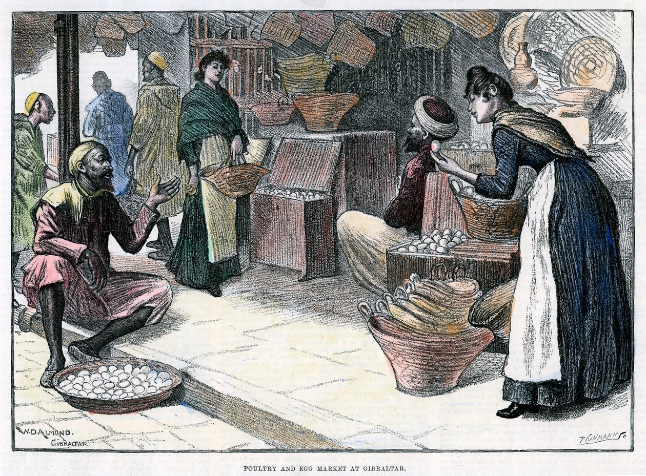 Poultry and egg market in Gibraltar, c1880 by P Naumann