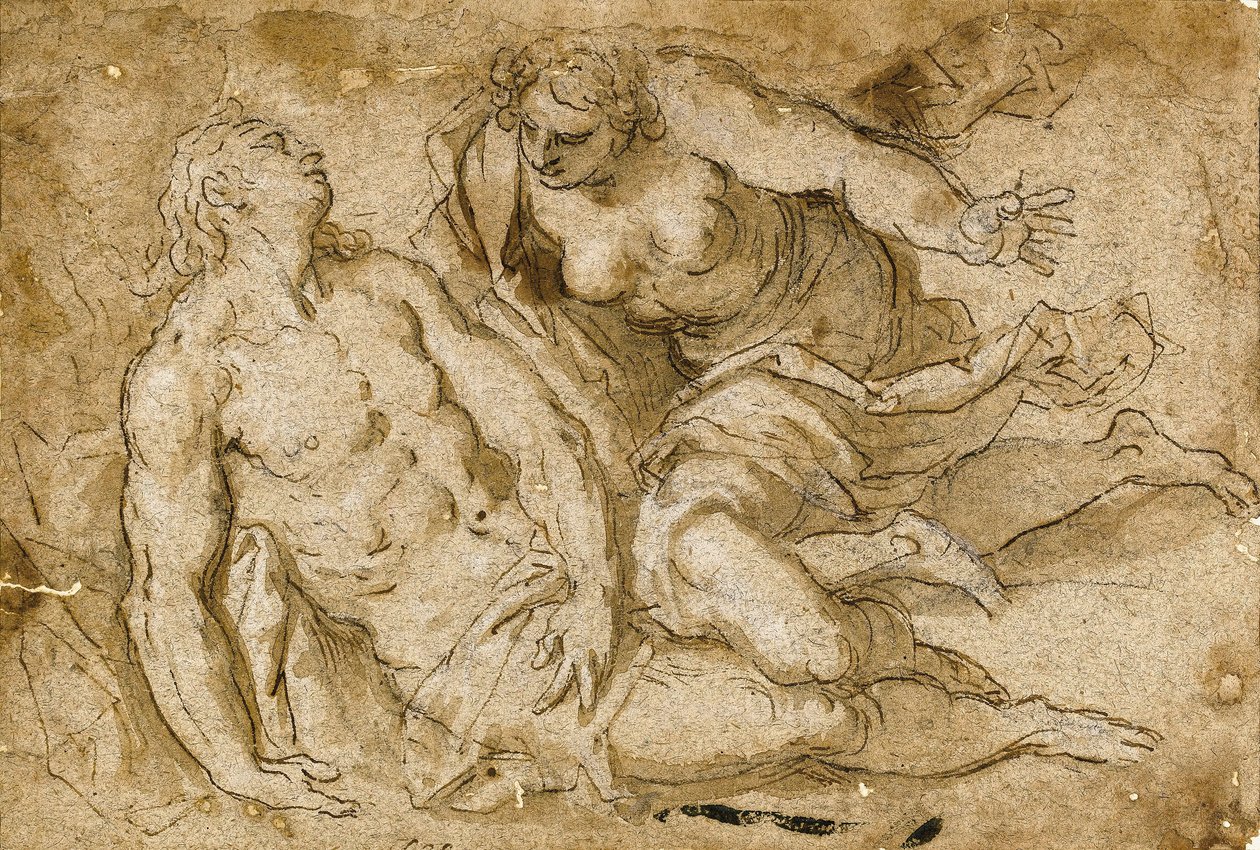 Venus discovering the dead Adonis by Palma Il Giovane