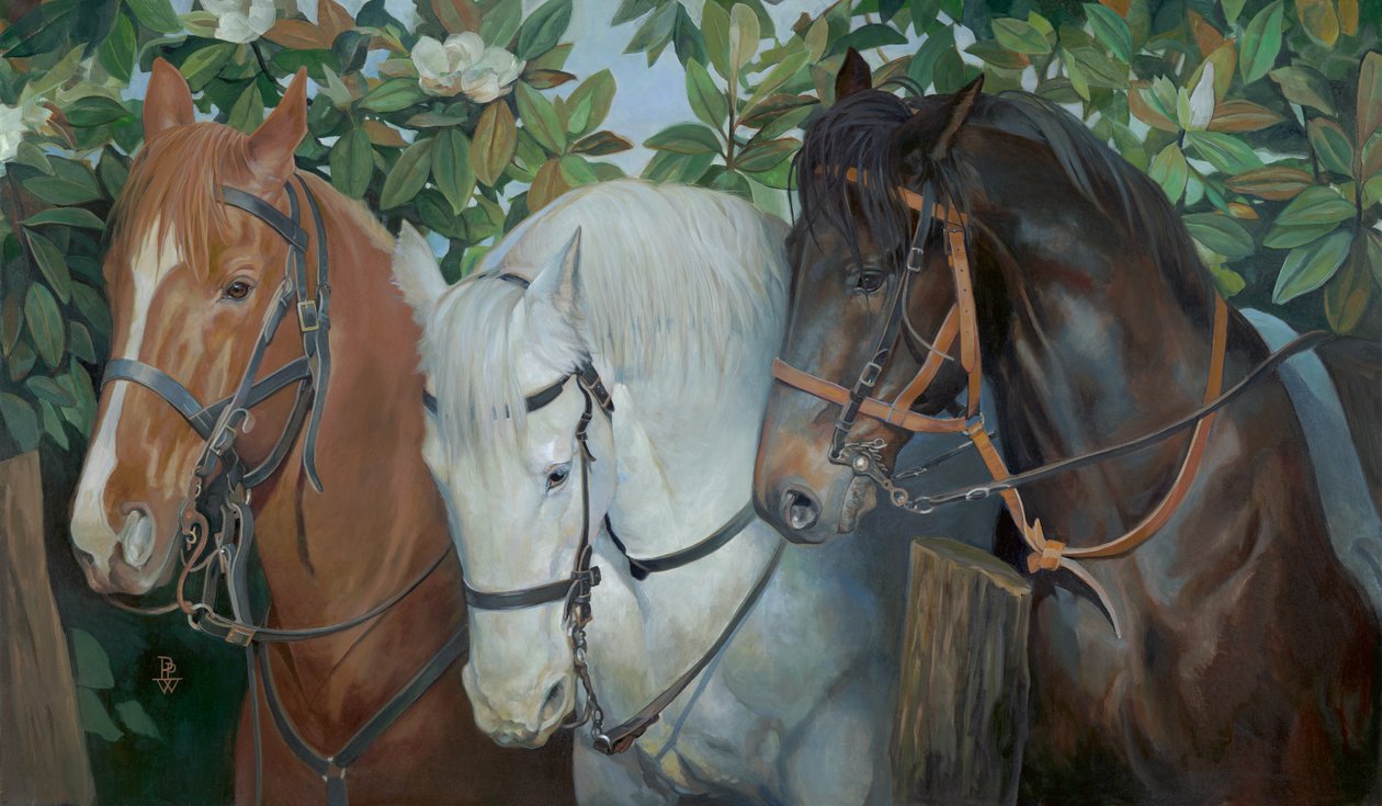 Rescued by Pamela Patrick White