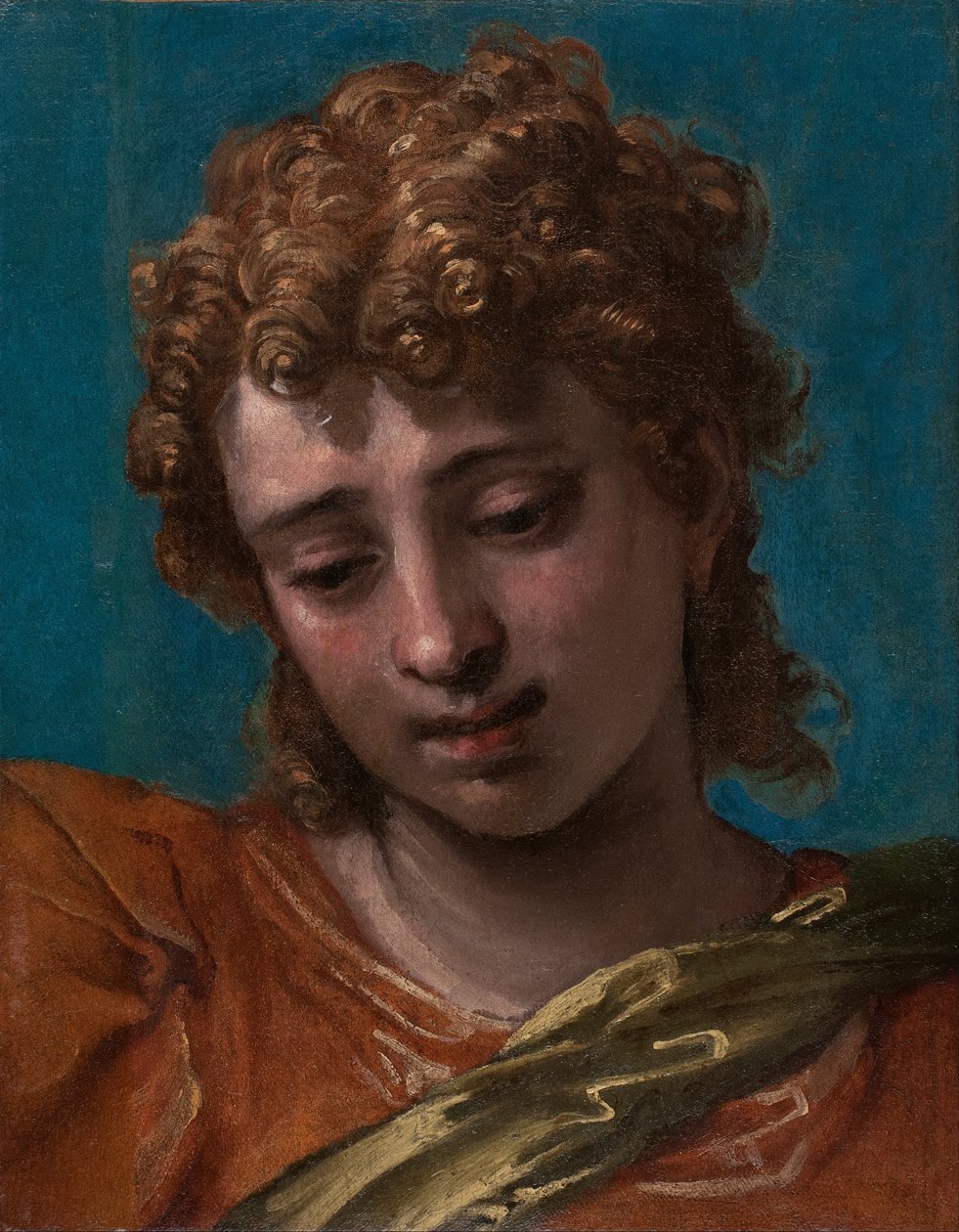 Head of Saint Michael, from the Petrobelli Altarpiece by Paolo Caliari