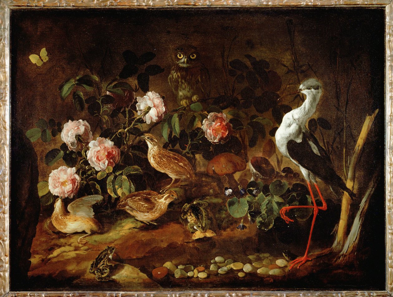 Still-life with Owl and Ibis by Paolo Porpora