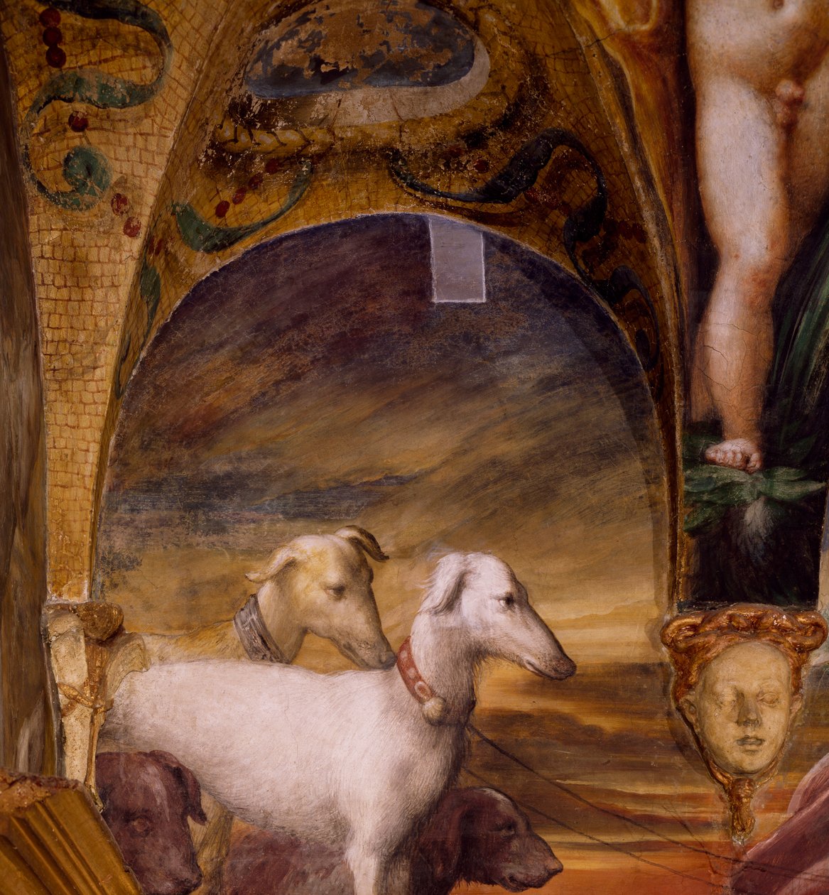 Group of dogs, from Myth of Diana and Actaeon by Parmigianino