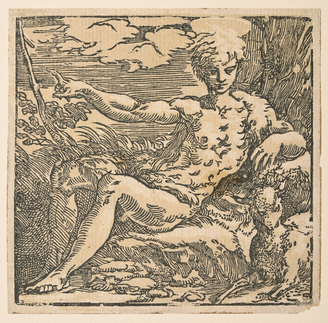 Saint John the Baptist in the wilderness by Parmigianino