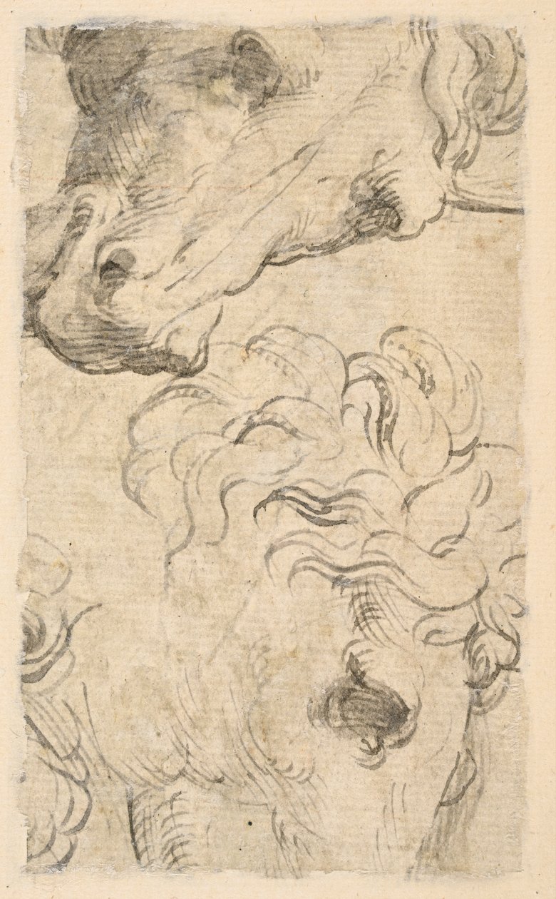 Two Studies of Heads of Horses (fragment) by Parmigianino